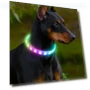 Lightweight USB Dog Collar — Collars, Smart Pet Supplies