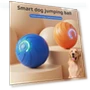 Moving LED Ball for Dogs — Balls, bestlili