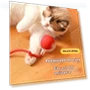 Rechargeable Smart Pet Toy — Balls, JINGYUE Pet