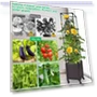 Self-Watering Raised Garden Bed — , Smartdbird