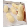 Simulation Peanut Interactive Teeth Grinding Toy — Toys, Smart Pet Supplies