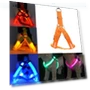 USB Rechargeable LED Safety Dog Harness — Harnesses, Smart Pet Supplies