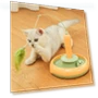 Automatic Cat Teaser Stick — Cat Playthings, CT Toy