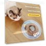 Interactive Cat Toy Ball — Cat Playthings, fanweixi