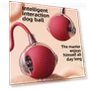 Interactive Pet Ball — Balls, Smart Pet Supplies