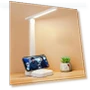 LED Desk Lamp — Study & Desk Lighting, Chic Interiors