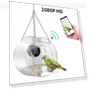Smart Bird House Feeder with Camera — Backyard Birding, Pig Boutique