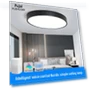 Smart LED Ceiling Light — Overhead Lighting, WoW Home