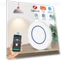 Smart Switch — Dimmer Switches, Tuya