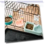 Automatic Water Dispenser for Pets — Feeding Supplies, Smart Pet Supplies