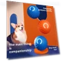 Electric Automatic Rolling Ball Toy for Dogs — Balls, Smart Pet Supplies