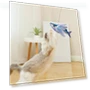 Interactive Flapping Wings Fish Cat Toy — Cat Playthings, All in Watch