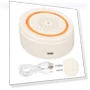Smart Siren — Smart Home Security, OutsideWorld