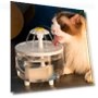 Automatic Silent Pet Water Fountain — Fountains, Pet daily necessities