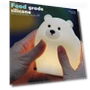Night Light Lovely Bear — Night Lights, Explorer Outdoors