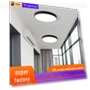 Voice and Motion Sensor LED Ceiling Light — Overhead Lighting, Toys Space