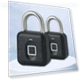 Biometric Fingerprint Smart Door Lock — Locks, Walked Quickly