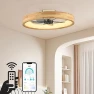 Ceiling Fan with Light, WenineStar