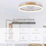 Modern Gold Ceiling Fan with Lights, STERREN