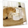 Automatic Pet Water Fountain — Fountains, Uomobo