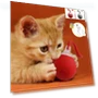 Automatic Rolling Ball for Cats — Cat Playthings, YJMP Top