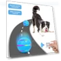 Automatic Rolling Ball Toy for Dogs — Balls, Skin & Sun Care
