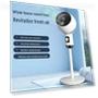 Dual-Purpose Silent Convection Fan — Ceiling Fans, ElectroCN