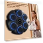 Smart Musical Boxing Trainer — Boxing Training Gear, Storage Space MALL