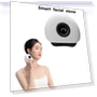 Electric Facial Massager with Gua Stone — Rollers & Pens, Crown Global