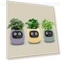Intelligent Indoor Plant Pot — Garden Planters, Darling Home
