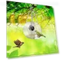Smart Bird Feeder with Night Vision Camera — Outdoor & Wildlife Cameras, I love My Pet