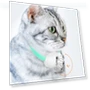 Smart teasing collar for cats — Cat Playthings, mujin