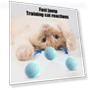 Automatic Moving Smart Ball with Light — Cat Playthings, Kitty Cat House