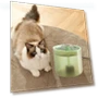 Electric Cat Water Fountain — Pet Hydration Solutions, Fujeenn