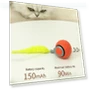 Interactive Pet Toy Ball — Cat Playthings, Wotypea