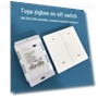 Smart Switch — Smart Home Modules, TrendVibeCN