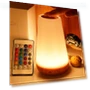 Creative Wooden Touch Remote Control Lamp — Creative Lighting Solutions, JOHO - CarGear
