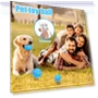 Electric Rolling Ball Toy for Dogs — Automatic Launchers, fanweixi