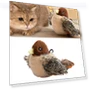 Realistic Plush Bird Toy with Sound — Cat Playthings, Three Body