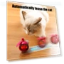 Automatic Moving Balls — Cat Playthings, fanweixi