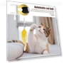Door Hanging Electric Cat Feather Toy — Cat Playthings, Hot Women