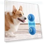 Gravity-Powered Jump Balls for Dogs — Balls, Jinkuinduy