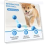 Interactive Pet Toy Ball — Cat Playthings, fanweixi