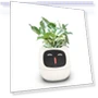 Smart Ivy Pot with LED Screen — Garden Planters, HOGREL