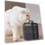 Automatic Circulating Filter Fountain for Pets — Fountains, Darling Home