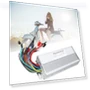 Electric Bicycle Accessory — Rectifiers, 3CZY