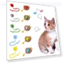 Automatic Smart Cat Toys Rechargeable Dog Cat Training Ball Electric Cat Ball Toy — Interactive Animal Companions, engdch