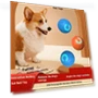 LED Electric Rolling Ball Dog Toy — Automatic Launchers, ryewnuok