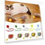 Rechargeable Smart Cat Toys Automatic Dog Cat Training Ball Kitten Teaser Game Toy — Cat Playthings, shjazj