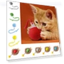 Rechargeable Smart Cat Toys Fast Rolling Dog Cat Training Ball — Cat Playthings, nzhboz
